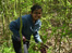Working in the woods
