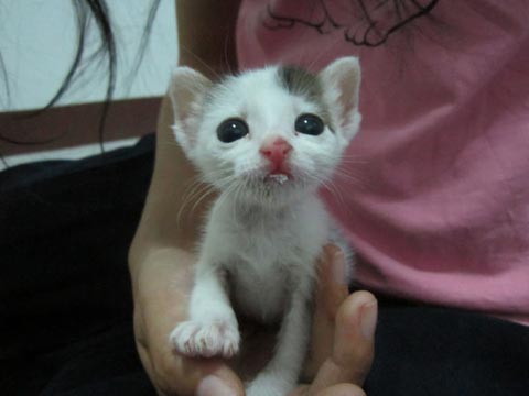 Cute