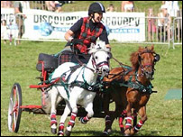Horse-drawn chariot