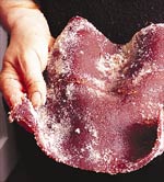 Bob's fruit leather