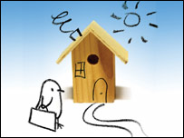 Give a bird a home!