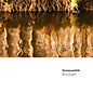 Review of Blindlight