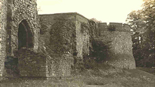 Castell Rhuthun (llun:Roger Edwards)