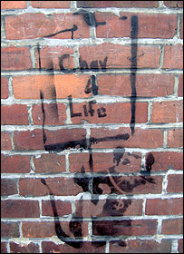 rat_203_280.jpg