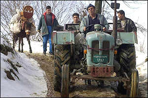 News image