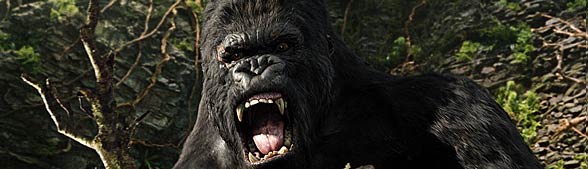 King Kong: The Verdict