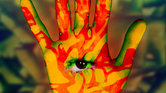 Third eye