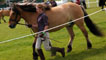Judging horses in the main ring