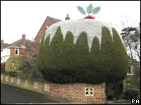 Christmas pud