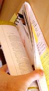 Photo of someone sorting through their research