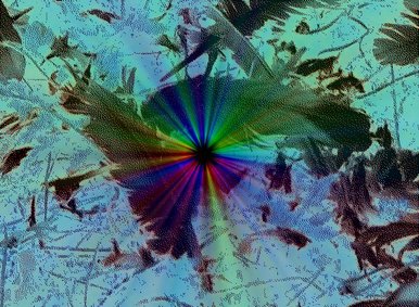 Feathers
