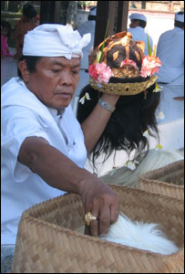 Seniman Bali