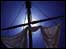 Sails