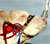 Buwch Charolais