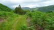 The path beyond the croft