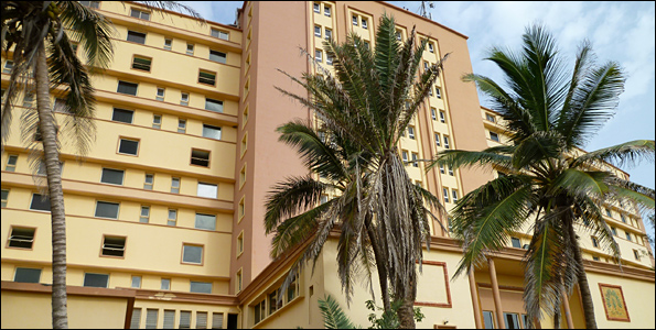 ngor595.jpg