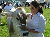 The Gillingham and Shaftesbury Show