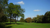 Summer park Summer park