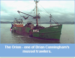 The Orion