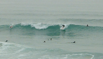 Nr Biarritz