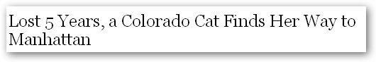 New York Times headline