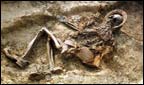 human remains