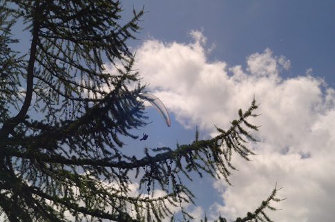A hang glider