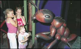 Giant ant attack