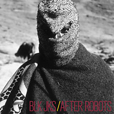 Review of After Robots