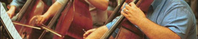 double bass