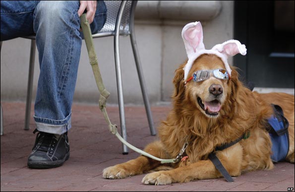 DOGGIE_595.jpg