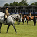 Royal Highland Show 2010