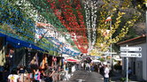 Madeira Festival...
