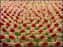 remembrance_poppies_main.jpg