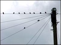 wires.jpg