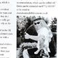 Denis is a seasoned action adventurer who has travelled the world raising funds for various charities including the National Deaf Children's Society
