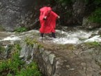 Walking in the Alps