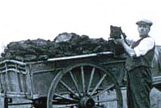 Peat digger