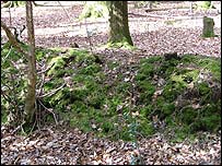 Aldridge Enclosure
