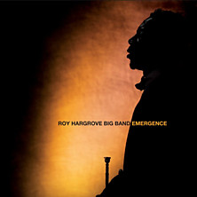 Review of Emergence