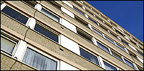 flatswindows203.jpg