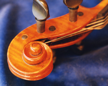 Viola scroll