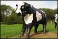 Concrete cow, Milton Keynes.