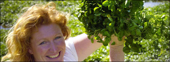 Watercress