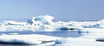 Arctic