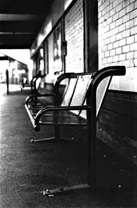 'Taking a trip to Staffordshire'