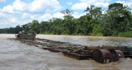Transport of illegally logged mahogany in Peru 