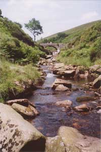 Three Shires Head