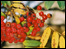Autumn berries