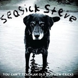 old_dog.jpg